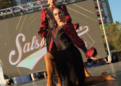 _DSF0459